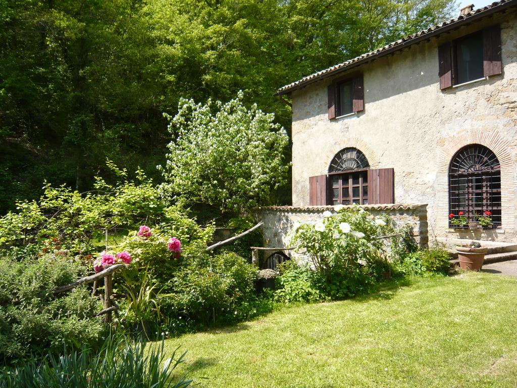 Il Molinaccio Al Rio Chiaro Civitella dʼAgliano Exterior foto