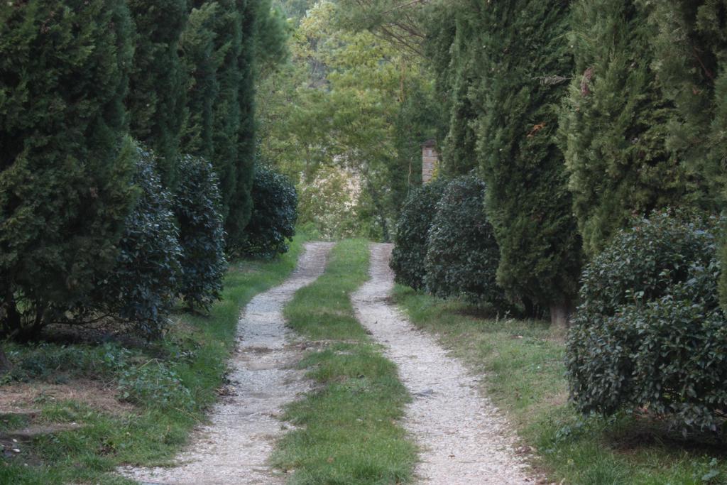 Il Molinaccio Al Rio Chiaro Civitella dʼAgliano Exterior foto