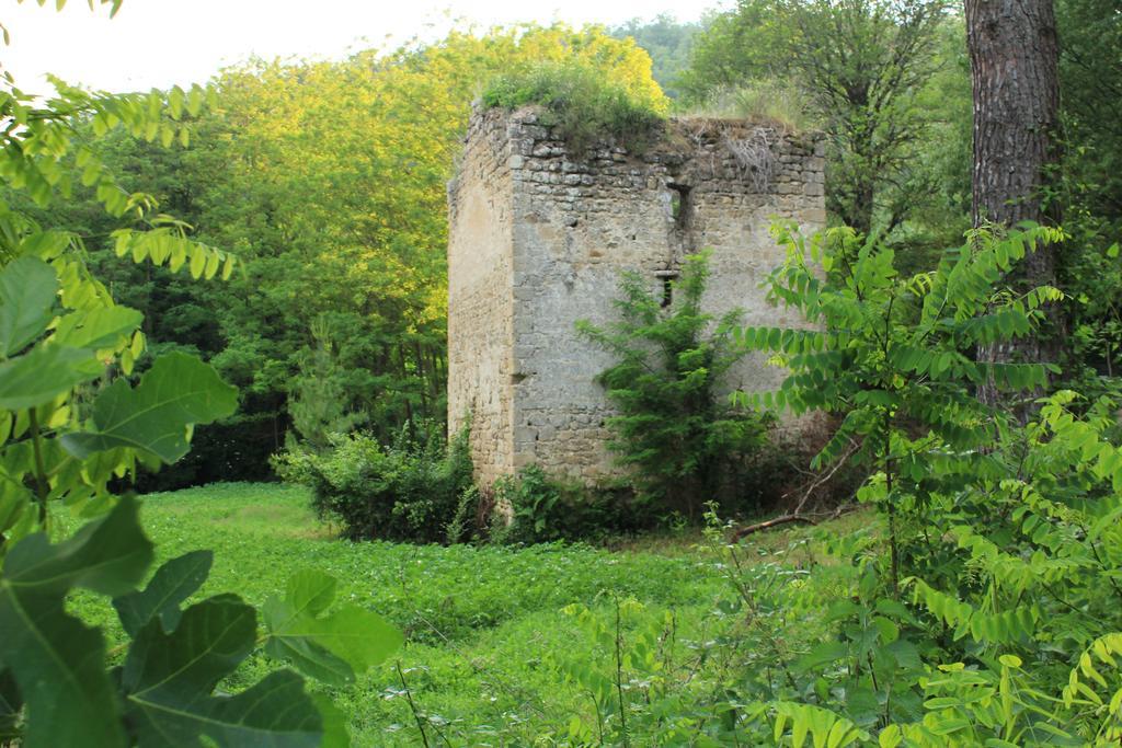 Il Molinaccio Al Rio Chiaro Civitella dʼAgliano Exterior foto