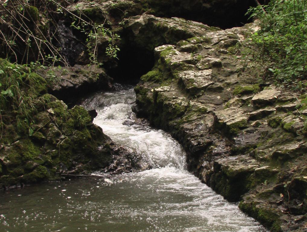 Il Molinaccio Al Rio Chiaro Civitella dʼAgliano Exterior foto